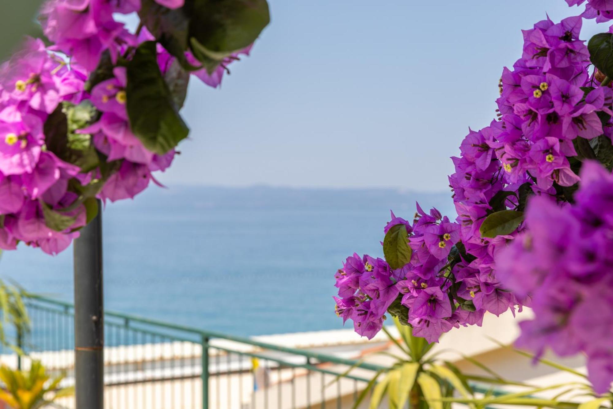 Beachfront Comfort Apartment Nives Tučepi Dış mekan fotoğraf